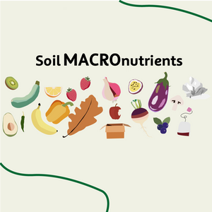 Soil Macronutrients and How To Optimise Them In Your Compost