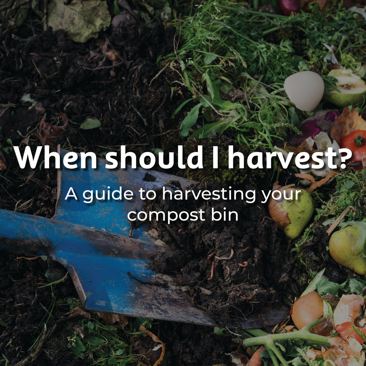 A guide to harvesting your compost bin Tumbleweed