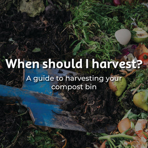 When should I harvest? A guide to harvesting your compost bin