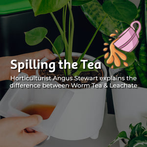 Spilling the Tea on Worm Tea