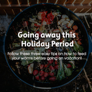 Going away this Holiday Period. <br>Follow these three easy tips on how to feed your worms before going on vacation!
