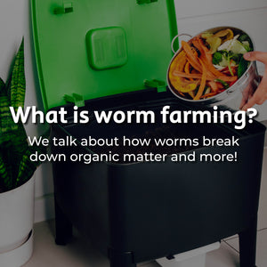 What is Worm Farming?