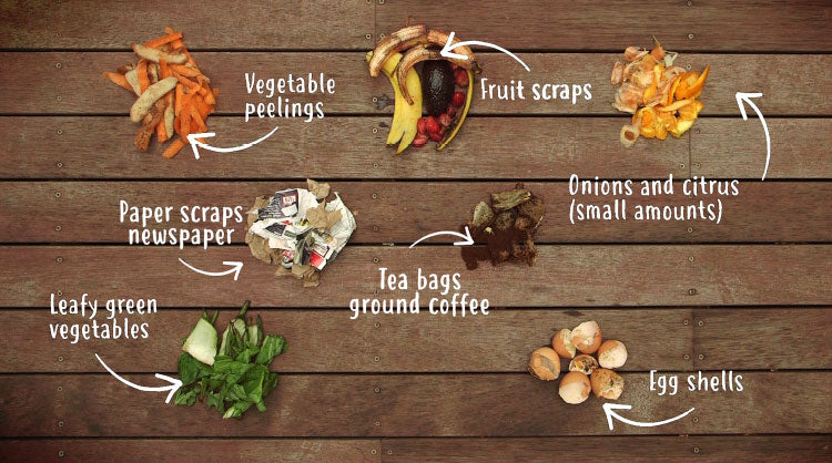a table with food waste for composting