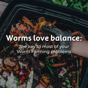 Worms love balance: The key to most of your Worm Farming problems
