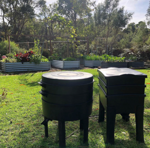 Composting bin and worm farm in a backyard garden