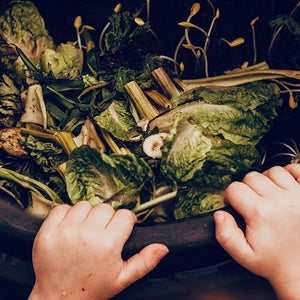 Setting Up a Gedye Compost Bin: A Practical Guide for Australian Gardens