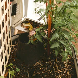 Grow Your Own Food with In-ground Worm Farms by Angus Stewart