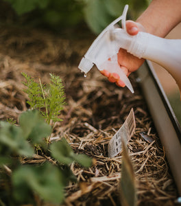 A person spraying water on a plant