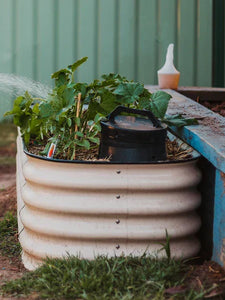 Troubleshooting Summer Worm Farm Problems: Odours, Pests, and Moisture Management