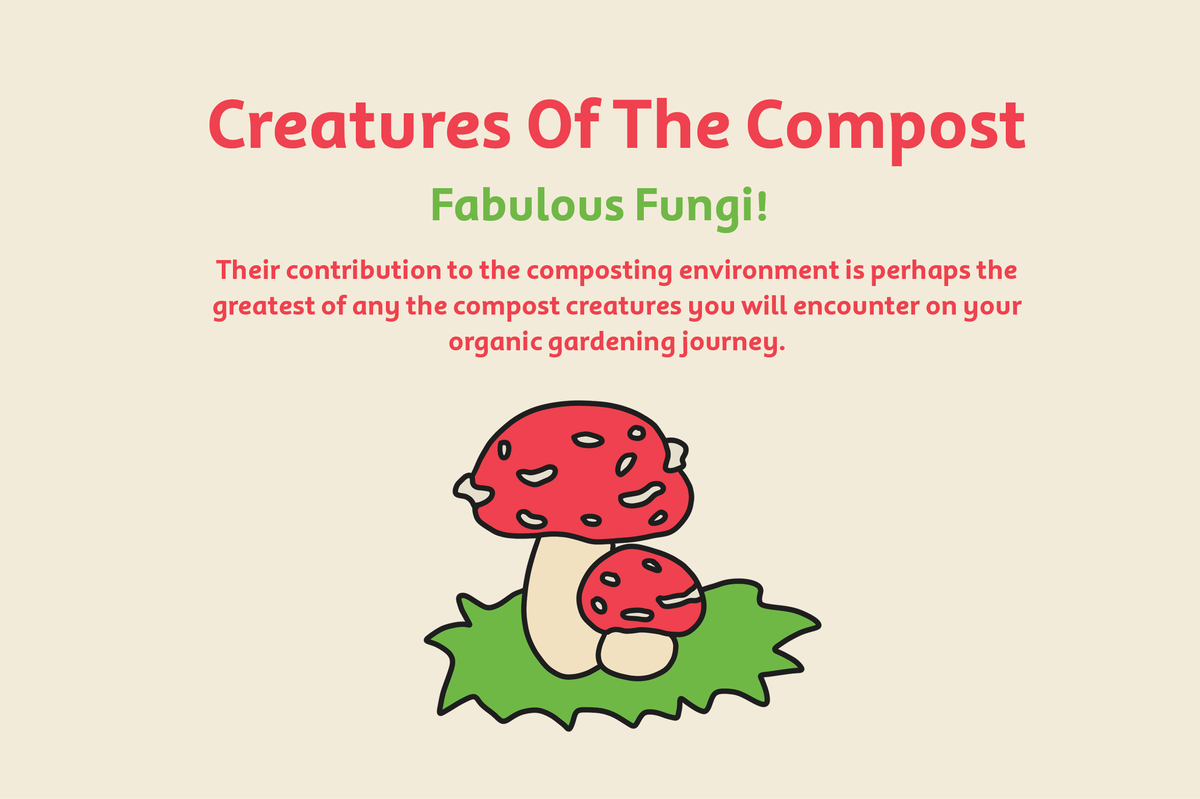 Composting Creatures Creatures of the Compost โ Fungi | Tumbleweed