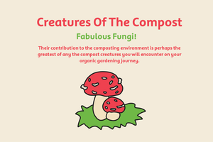 Creatures of the compost fungi