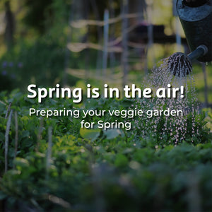 Preparing your Veggie Garden for Spring