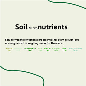 Soil Micronutrients and How To Optimise Them In Your Compost
