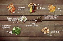 a table with different food waste for composting