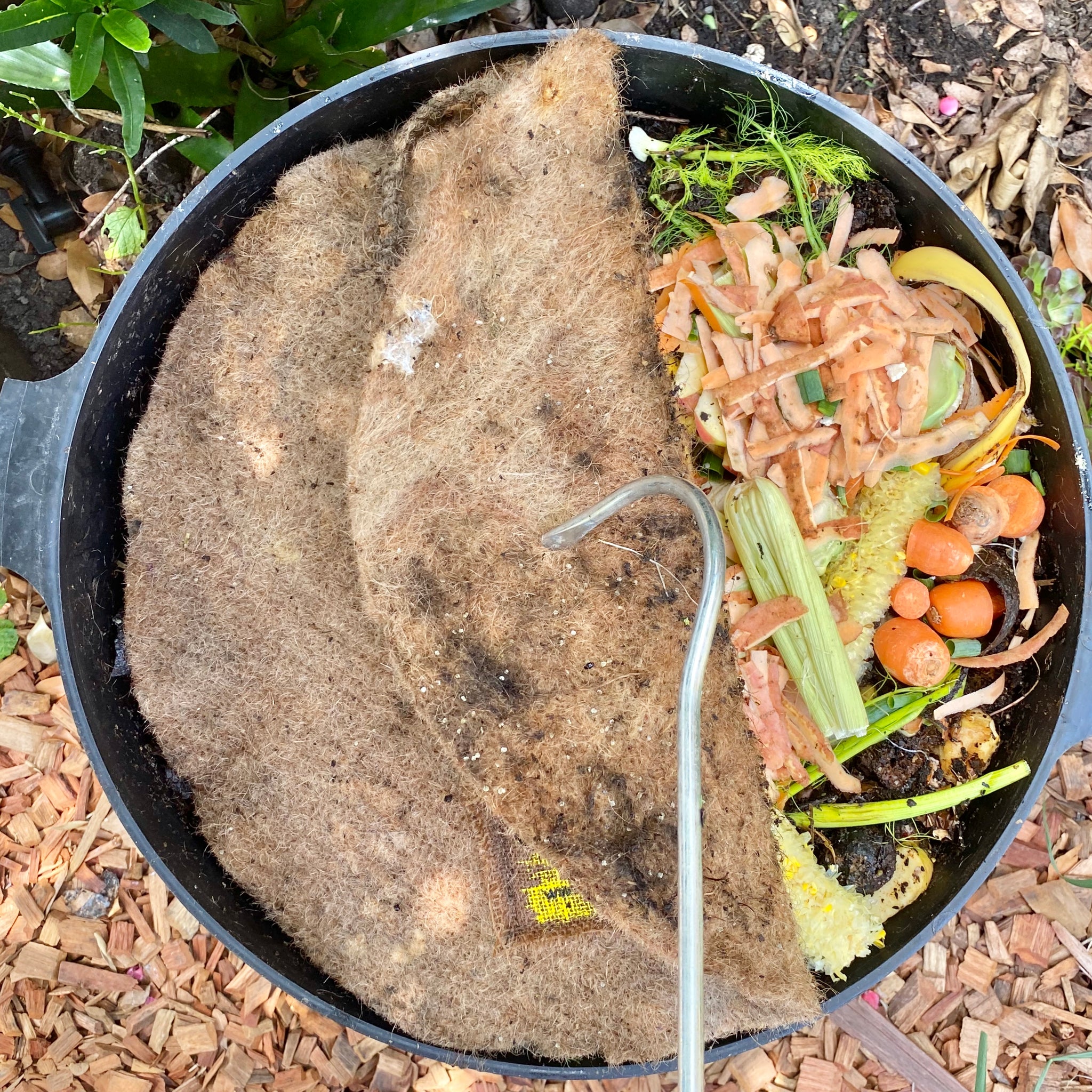 Worm Farm Aerator Tumbleweed