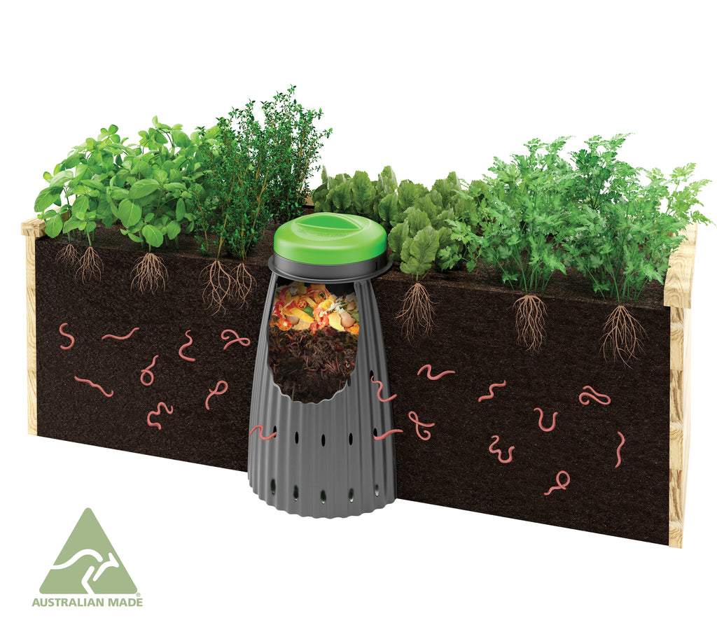 In-Ground Worm Buffet